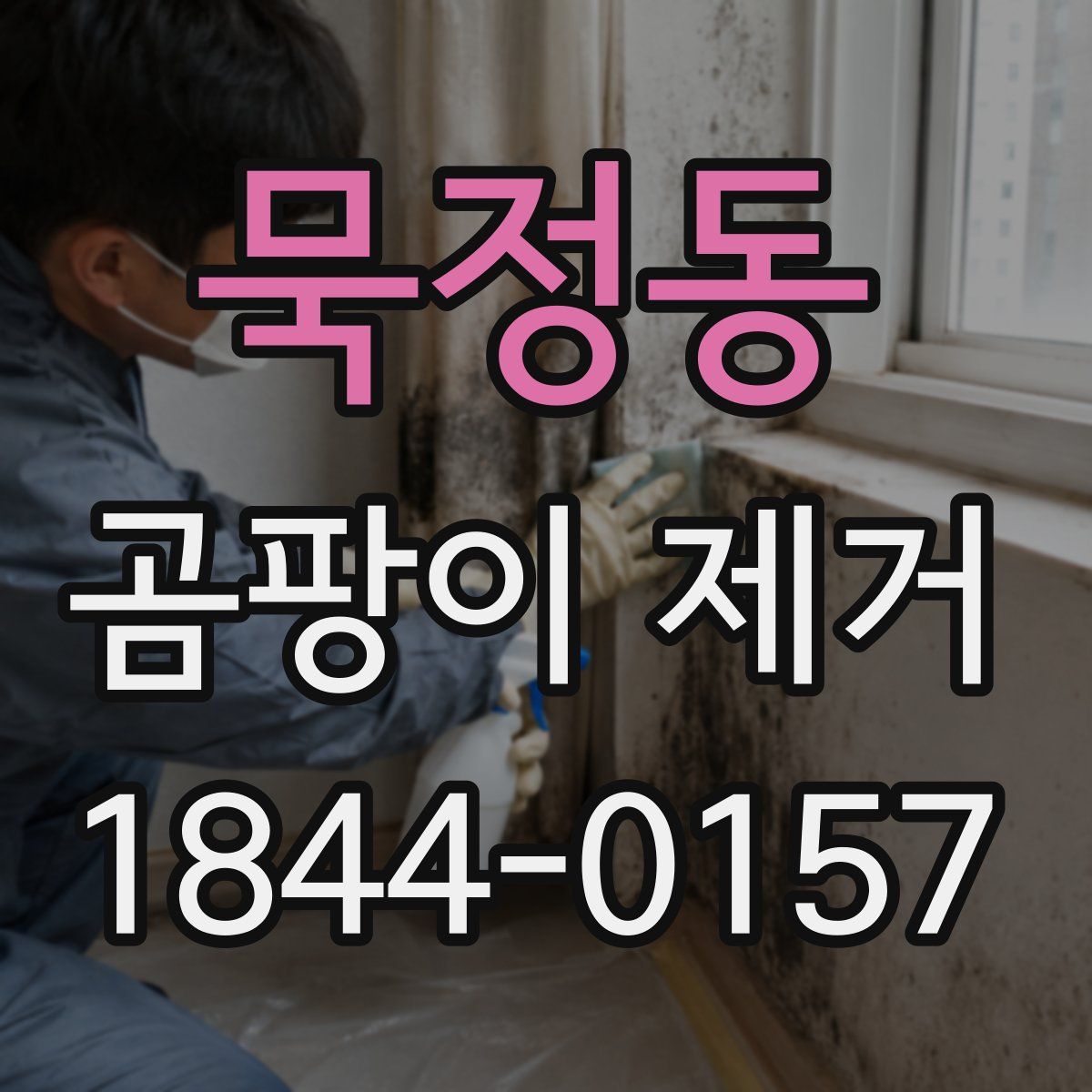 묵정동 곰팡이 제거
