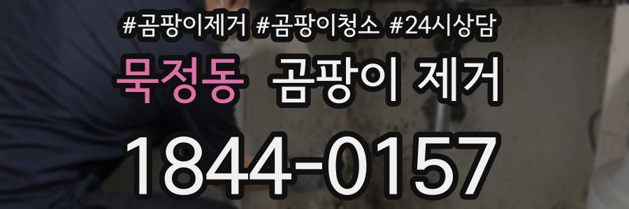 묵정동 곰팡이 제거