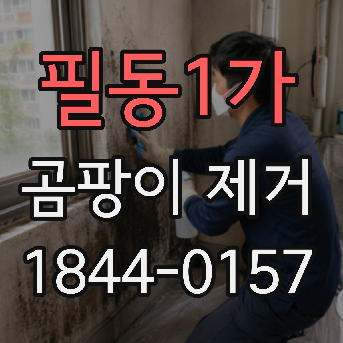 필동1가 곰팡이 제거