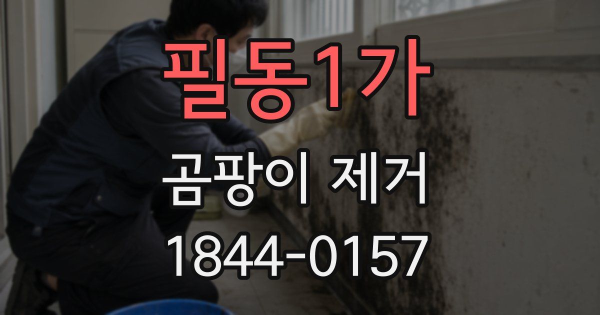 필동1가 곰팡이 제거