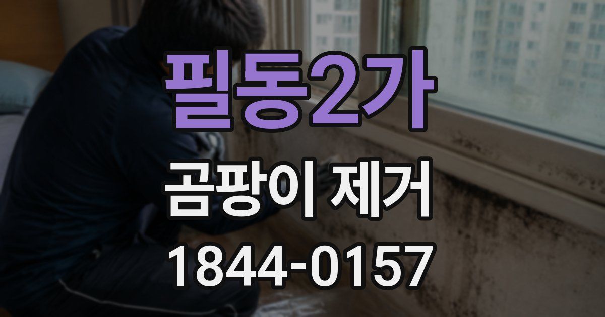 필동2가 곰팡이 제거