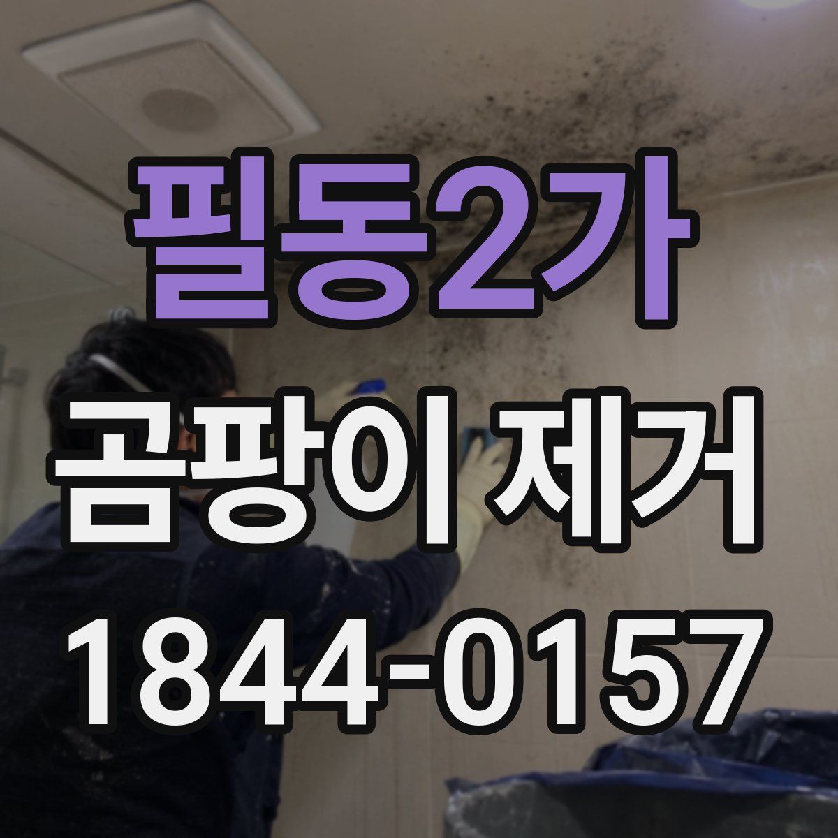필동2가 곰팡이 제거