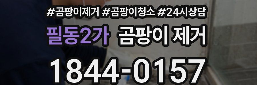 필동2가 곰팡이 제거