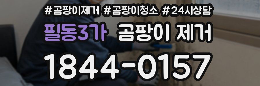필동3가 곰팡이 제거