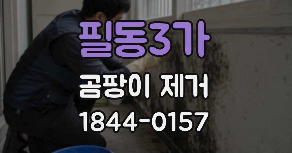 필동3가 곰팡이 제거