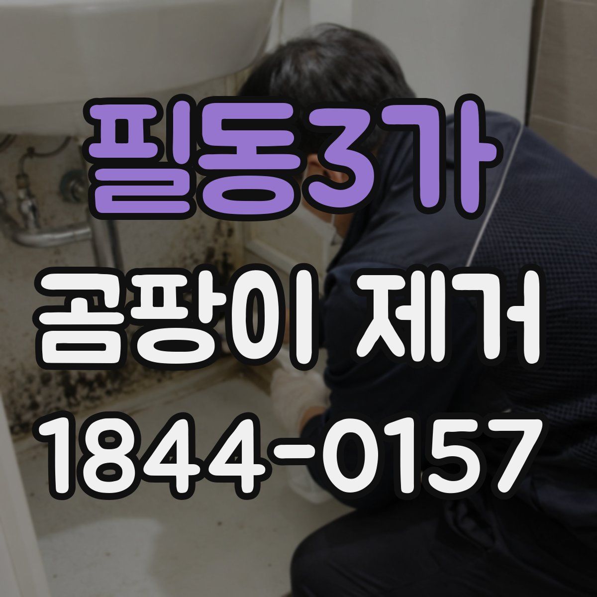 필동3가 곰팡이 제거