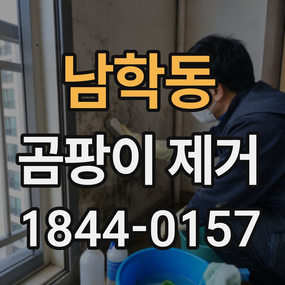 남학동 곰팡이 제거