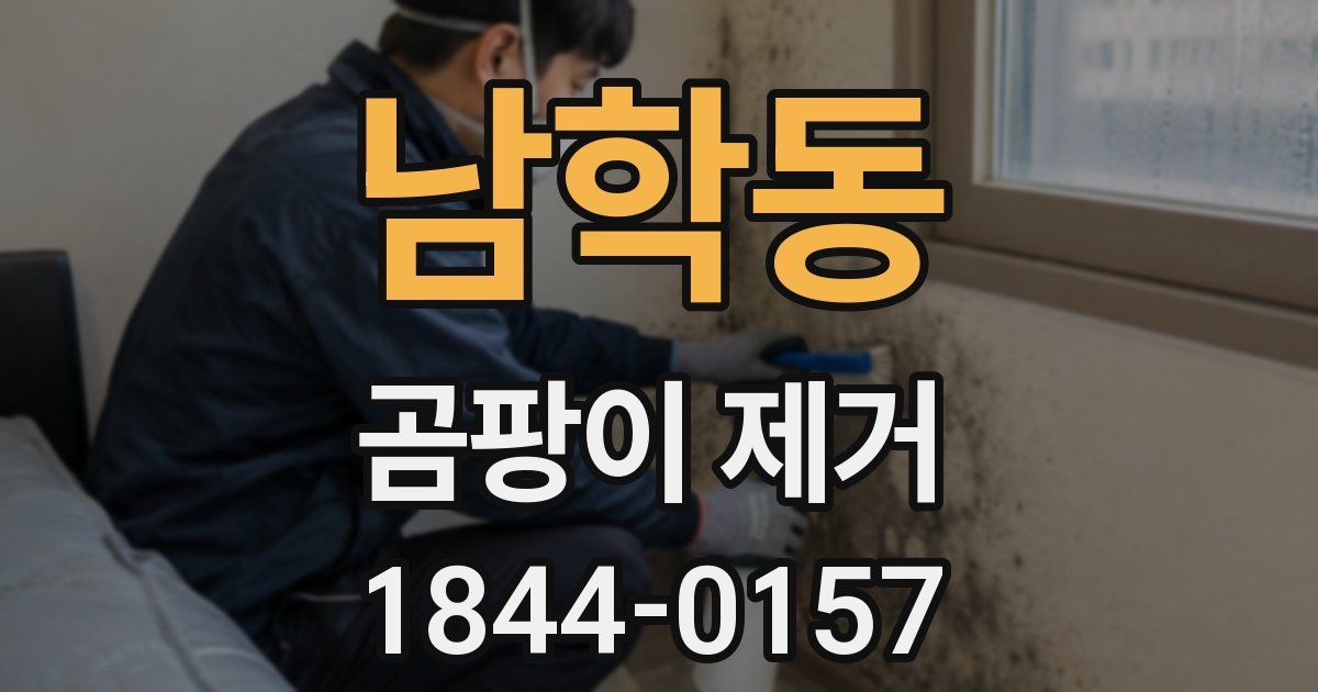 남학동 곰팡이 제거