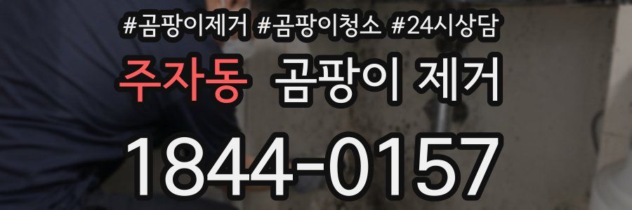 주자동 곰팡이 제거