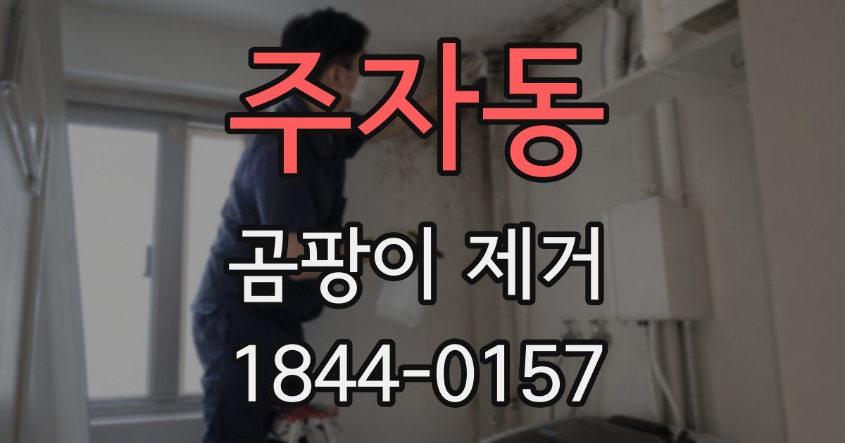 주자동 곰팡이 제거