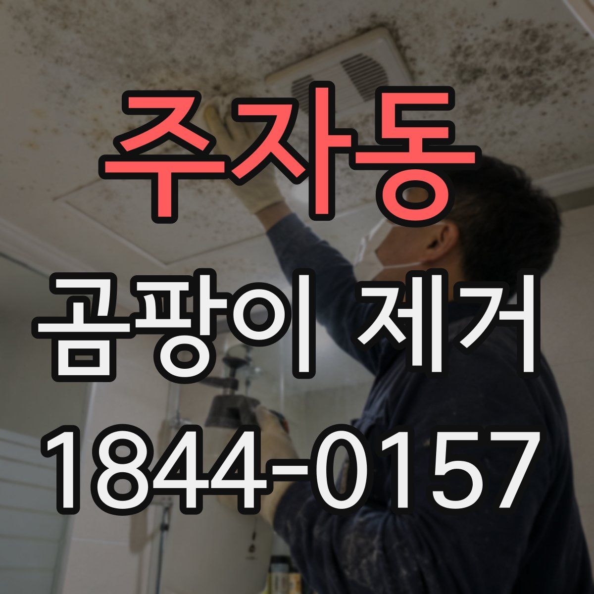 주자동 곰팡이 제거
