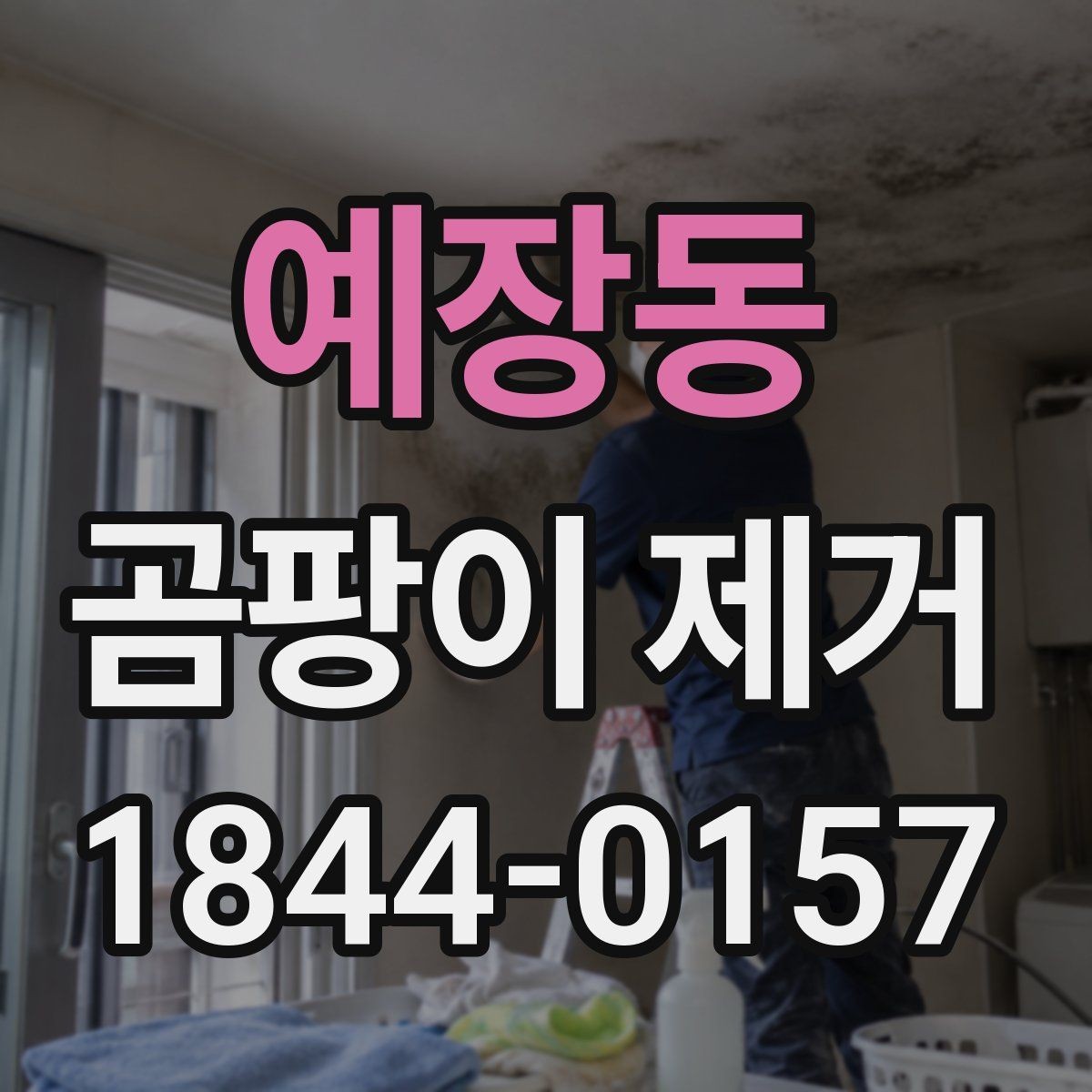 예장동 곰팡이 제거 입주 전 확인할 누수와 결로 흔적