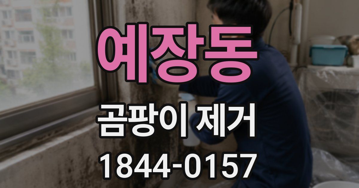 예장동 곰팡이 제거