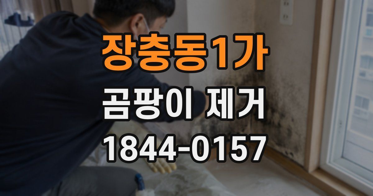 장충동1가 곰팡이 제거