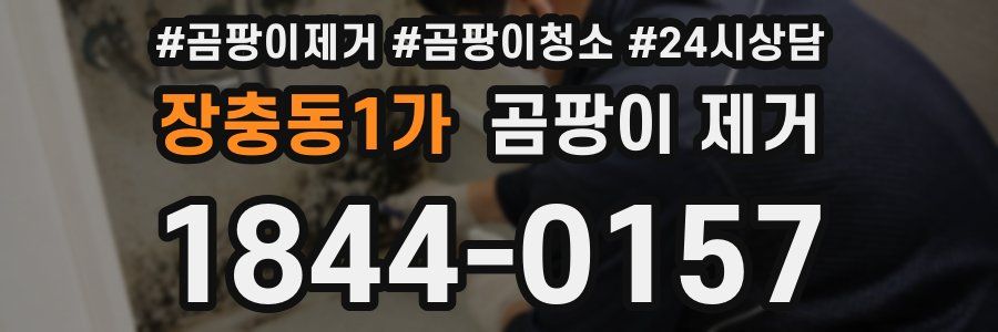 장충동1가 곰팡이 제거