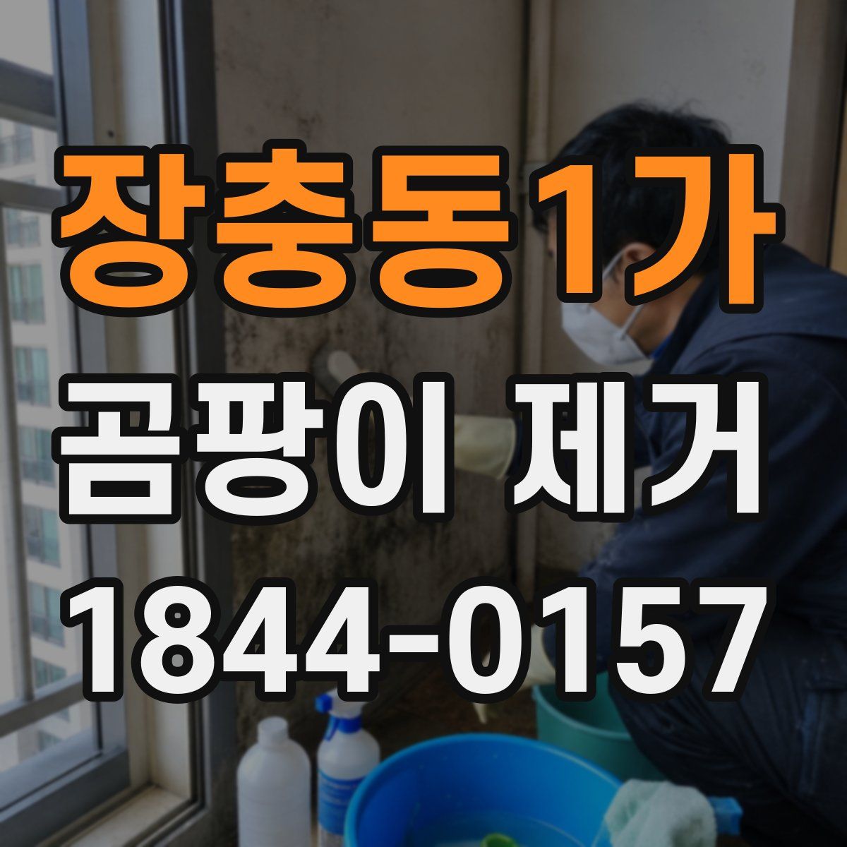 장충동1가 곰팡이 제거