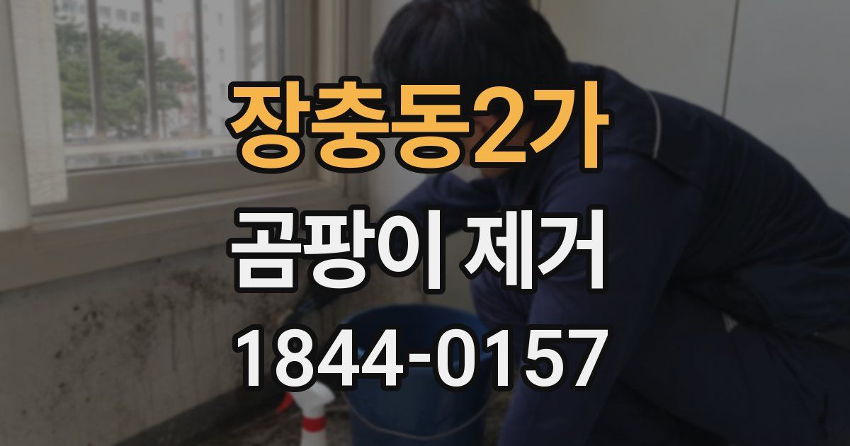 장충동2가 곰팡이 제거