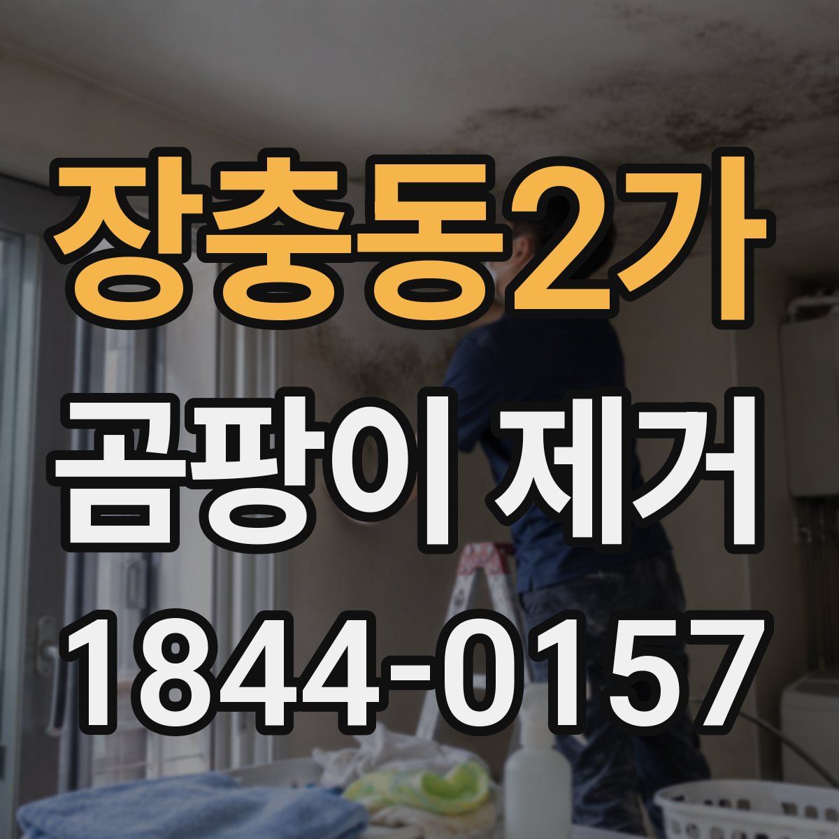 장충동2가 곰팡이 제거