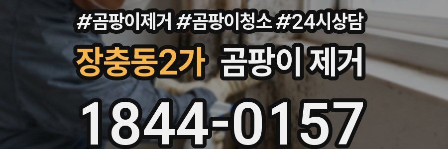 장충동2가 곰팡이 제거