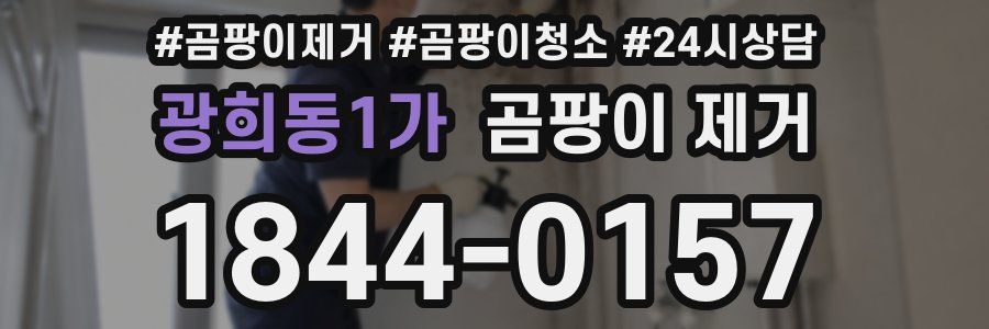 광희동1가 곰팡이 제거