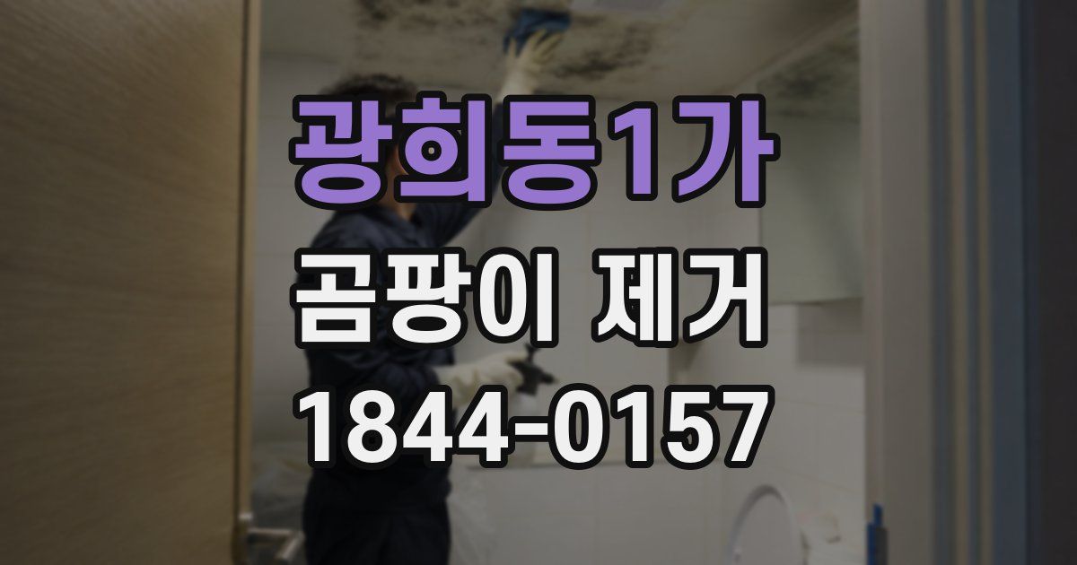 광희동1가 곰팡이 제거