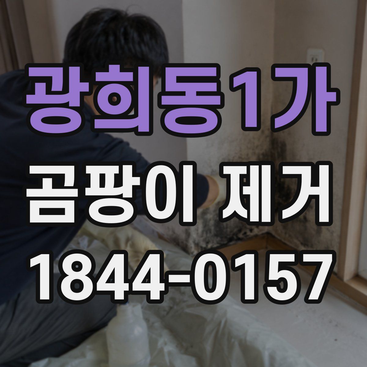 광희동1가 곰팡이 제거