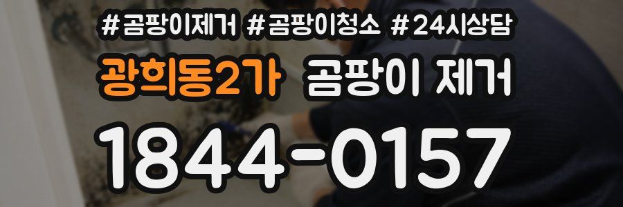 광희동2가 곰팡이 제거