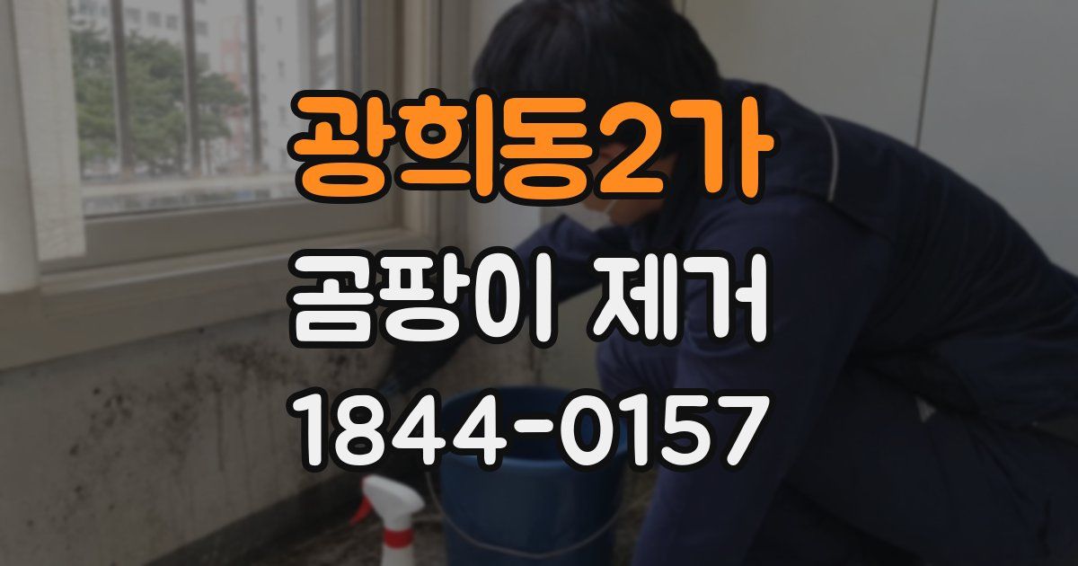 광희동2가 곰팡이 제거