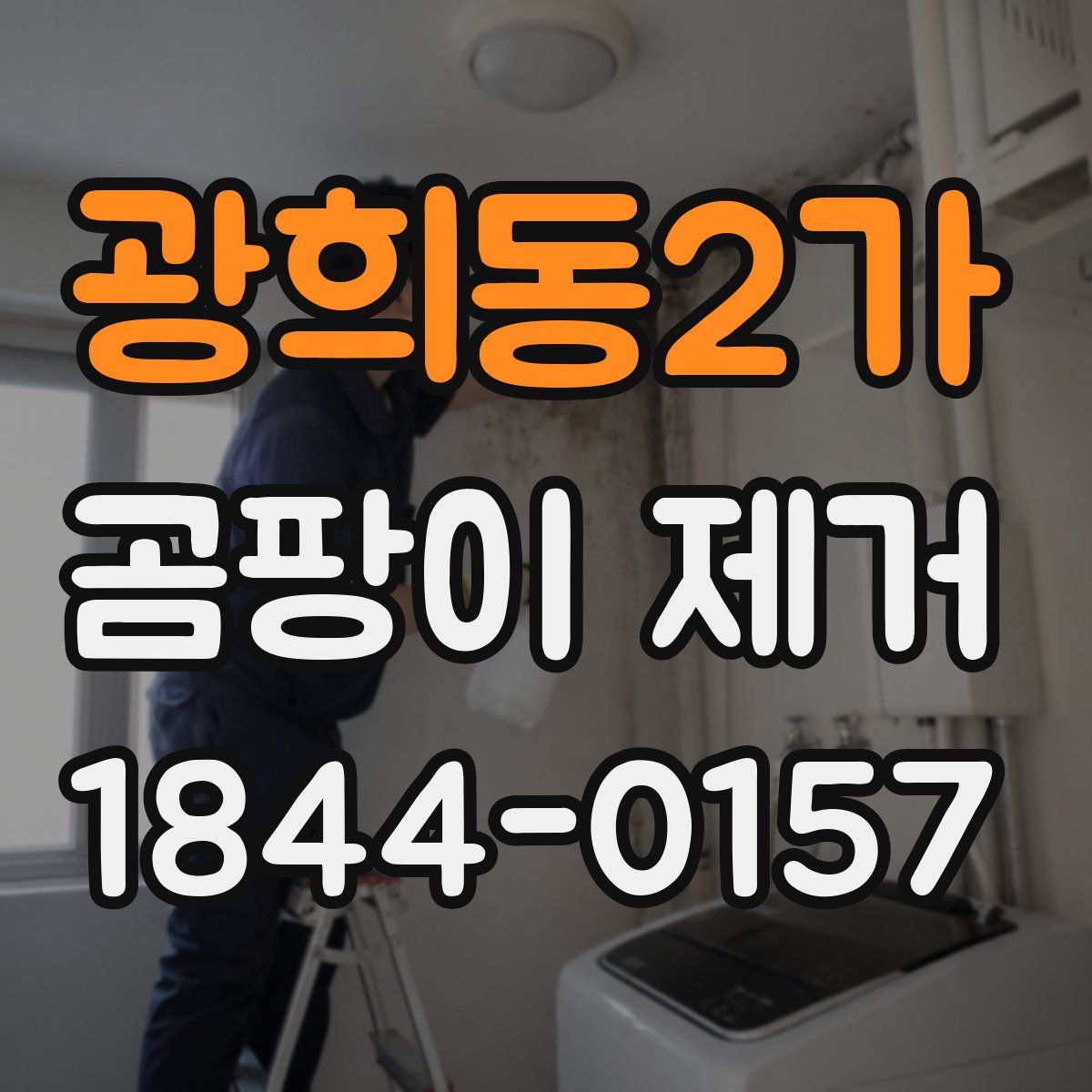 광희동2가 곰팡이 제거