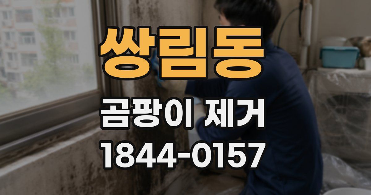 쌍림동 곰팡이 제거
