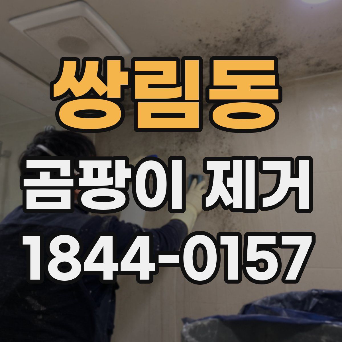 쌍림동 곰팡이 제거