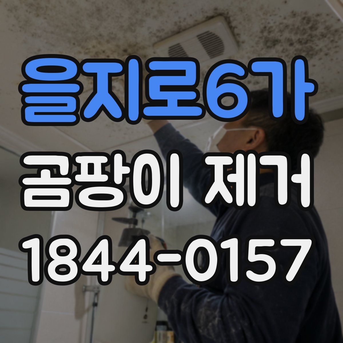 을지로6가 곰팡이 제거
