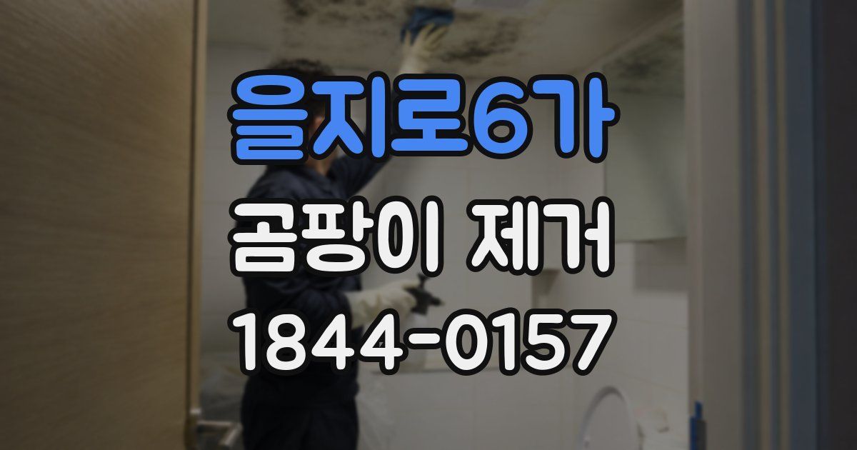 을지로6가 곰팡이 제거
