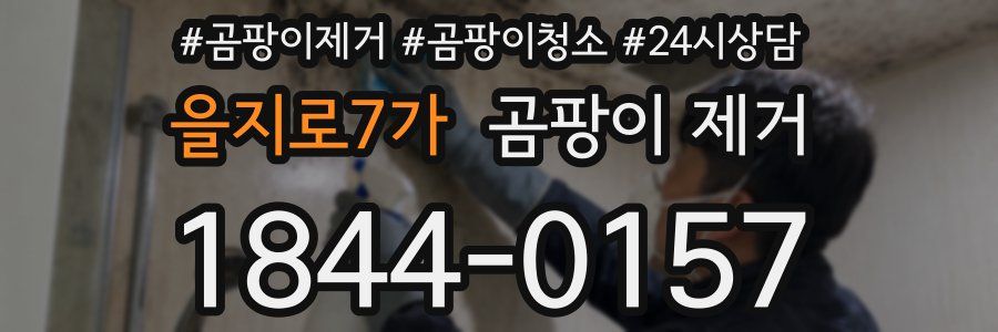 을지로7가 곰팡이 제거