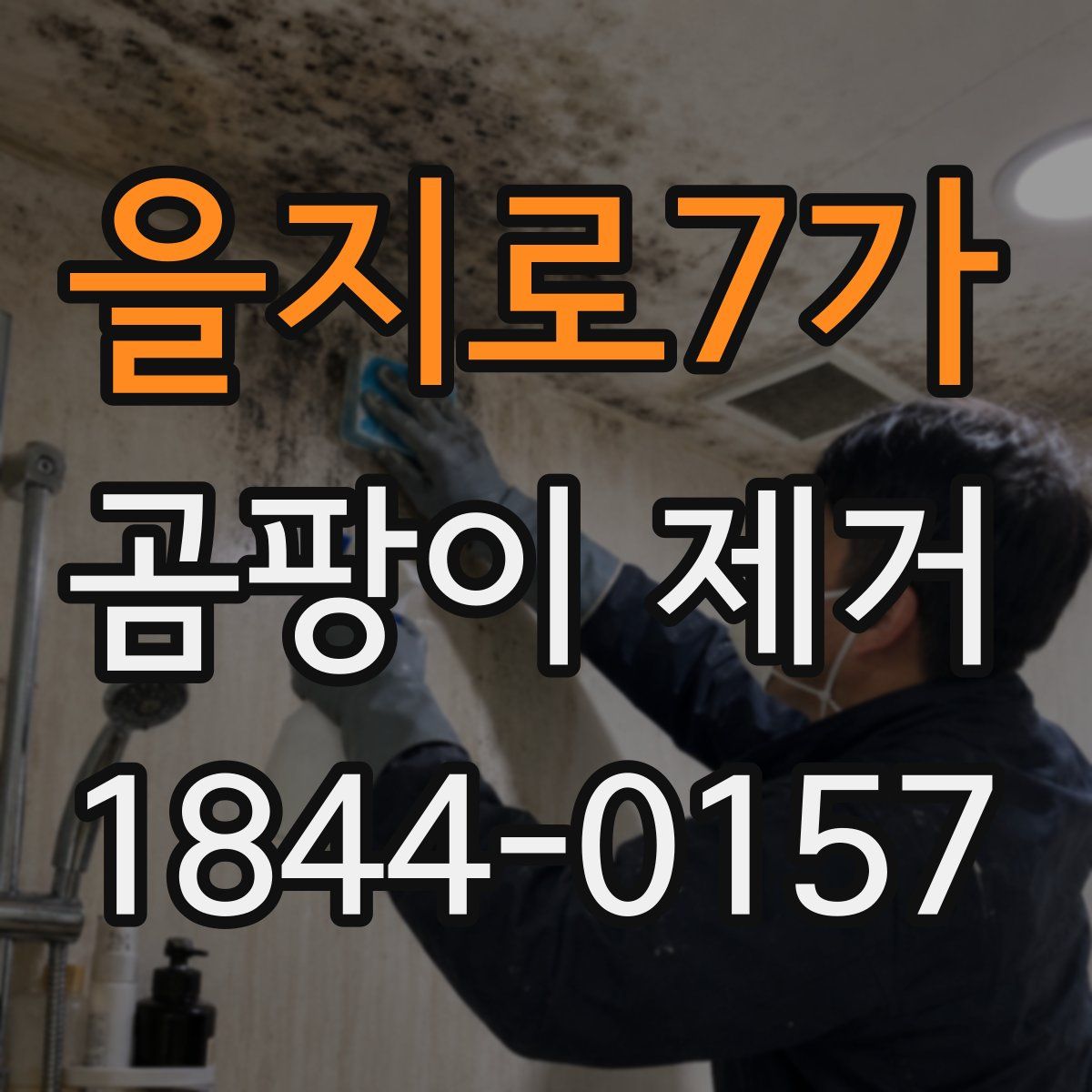 을지로7가 곰팡이 제거