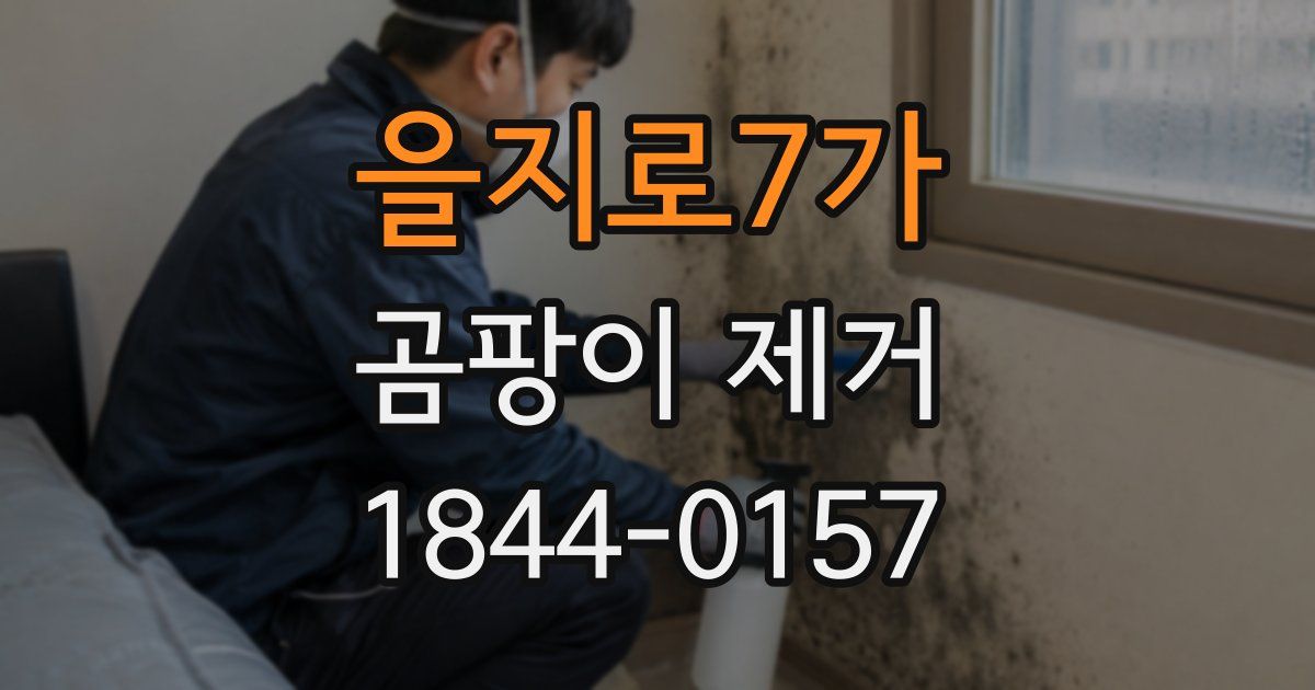을지로7가 곰팡이 제거