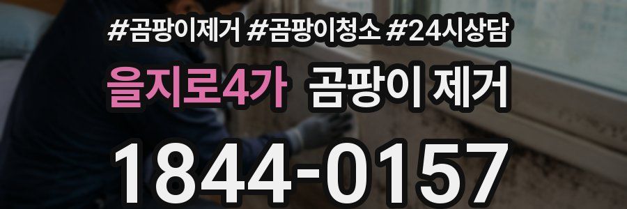 을지로4가 곰팡이 제거