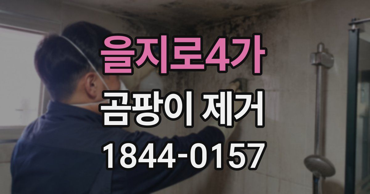 을지로4가 곰팡이 제거