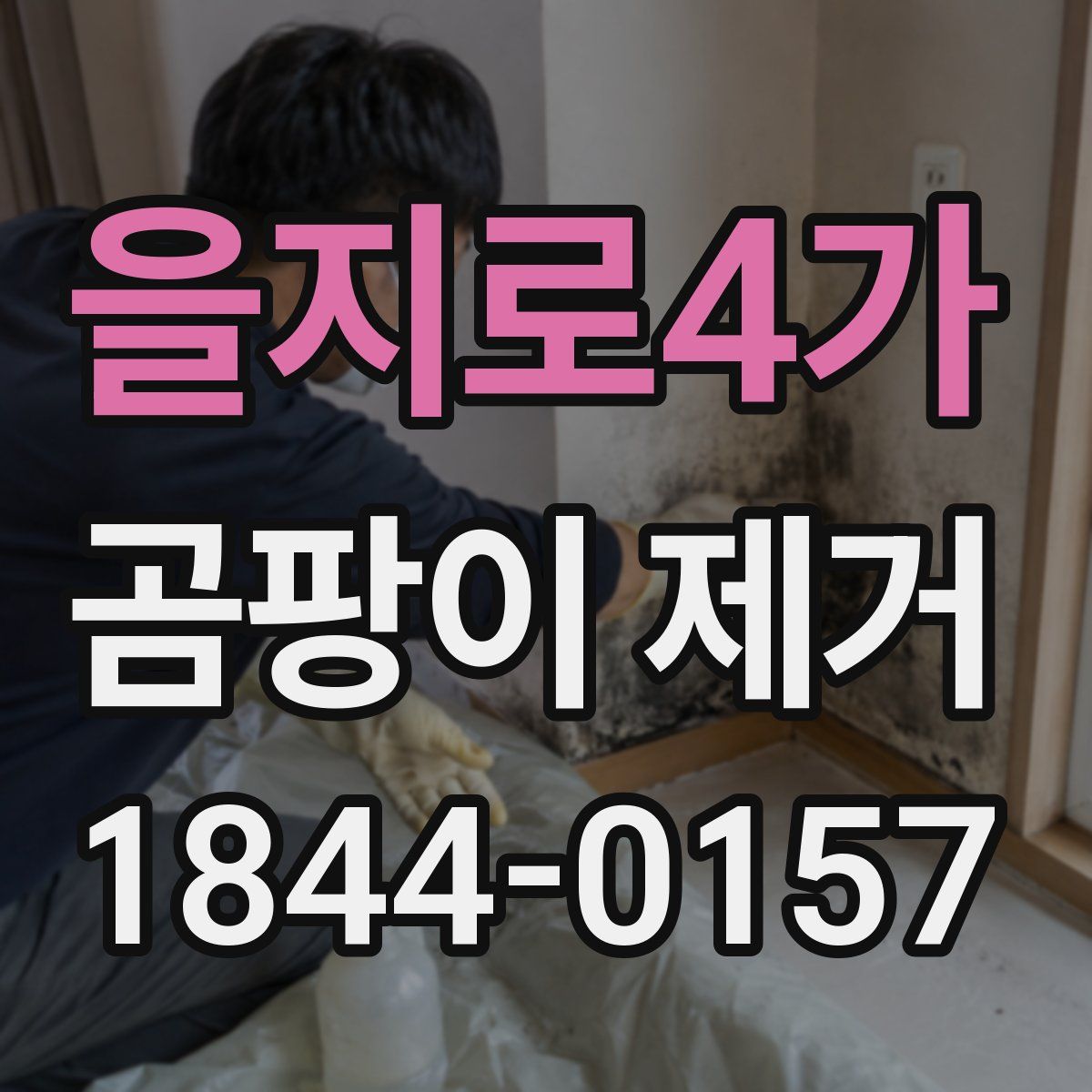 을지로4가 곰팡이 제거