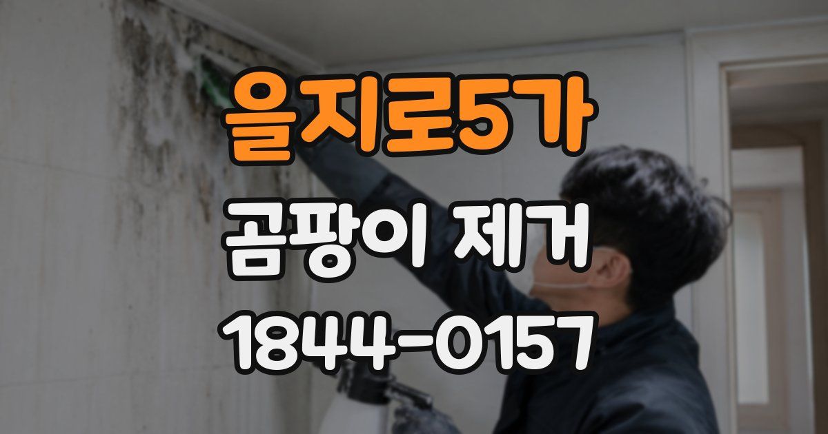 을지로5가 곰팡이 제거