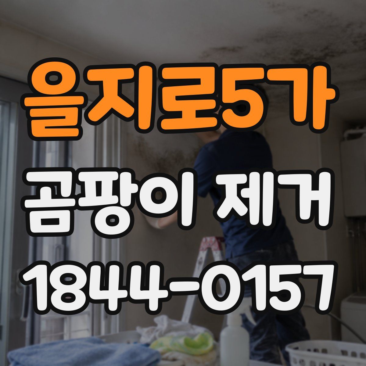 을지로5가 곰팡이 제거
