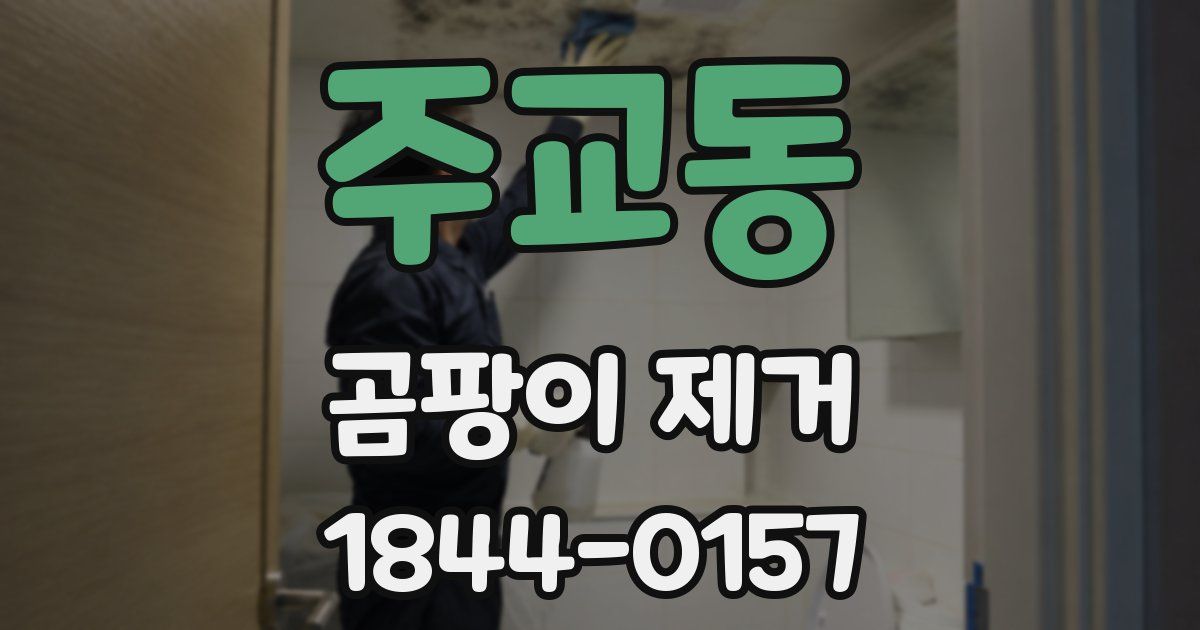주교동 곰팡이 제거