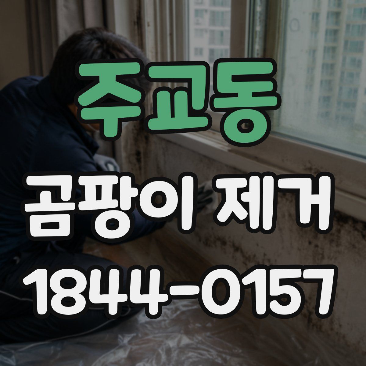 주교동 곰팡이 제거