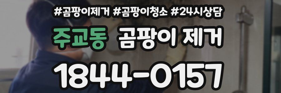 주교동 곰팡이 제거