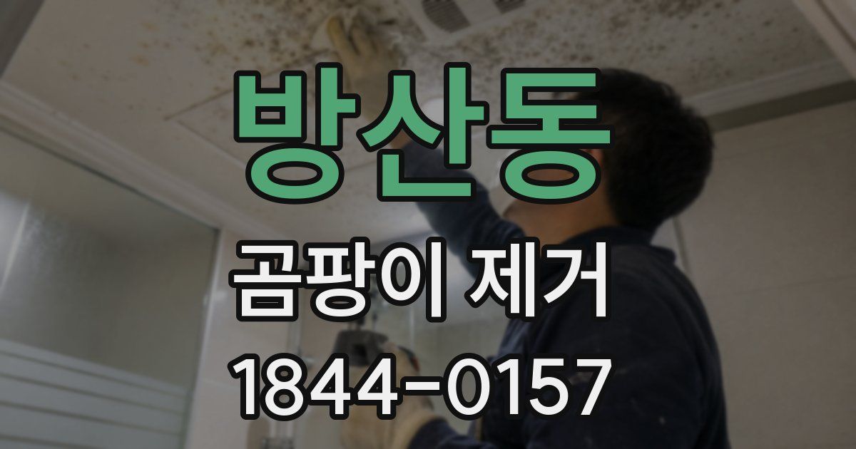 방산동 곰팡이 제거