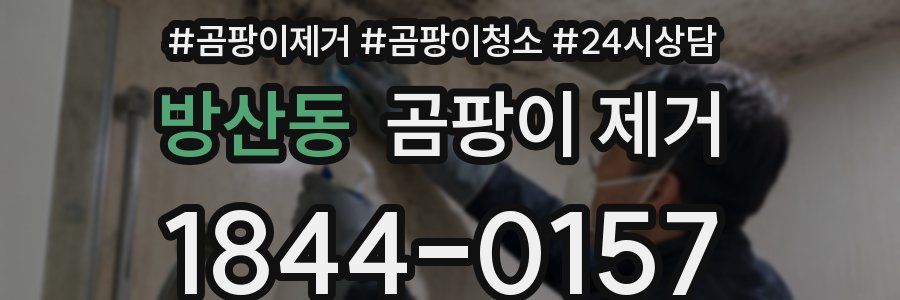 방산동 곰팡이 제거