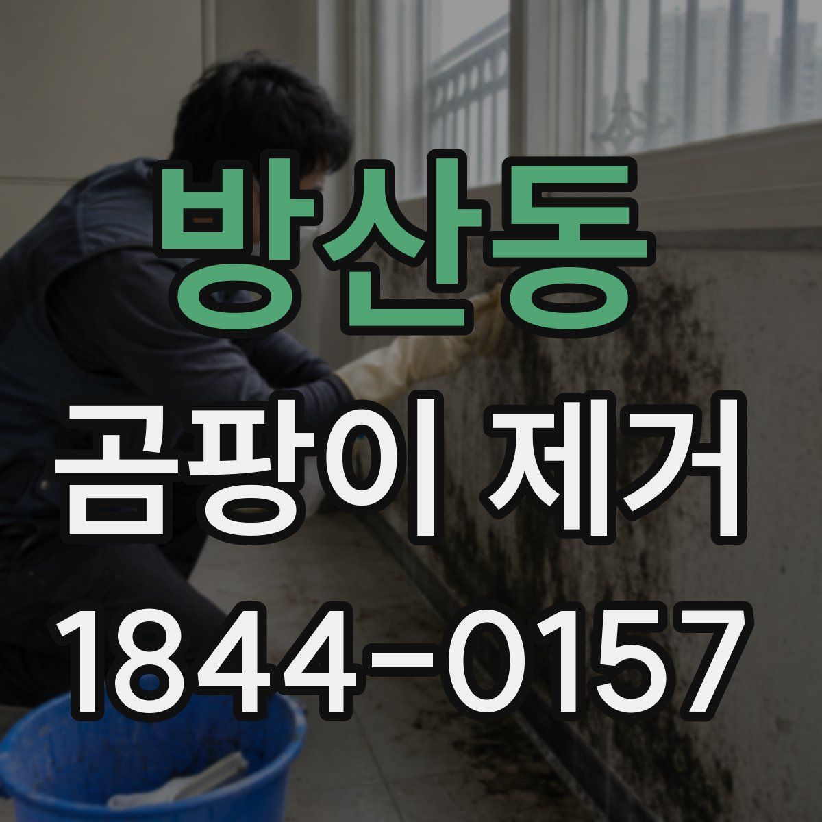 방산동 곰팡이 제거