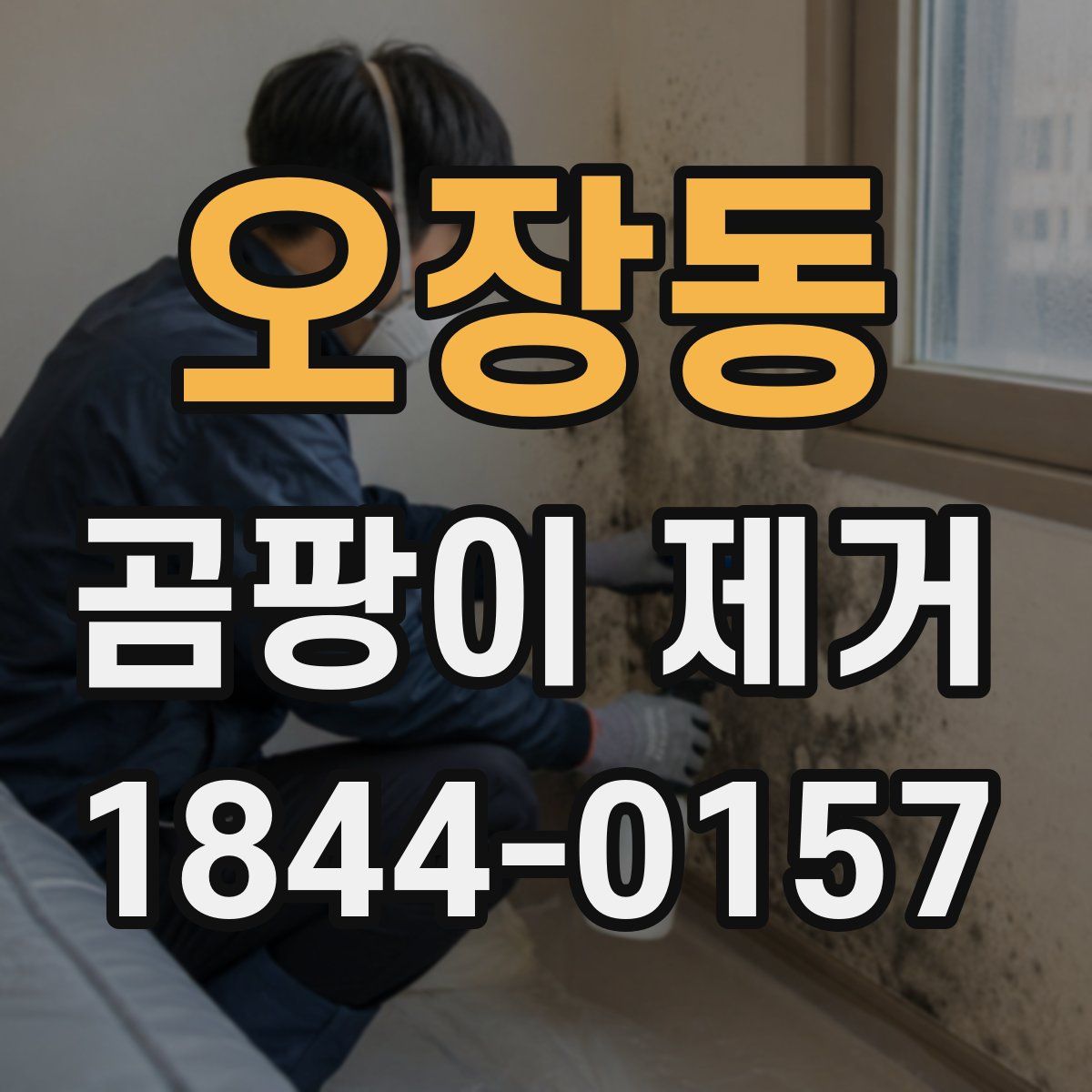 오장동 곰팡이 제거