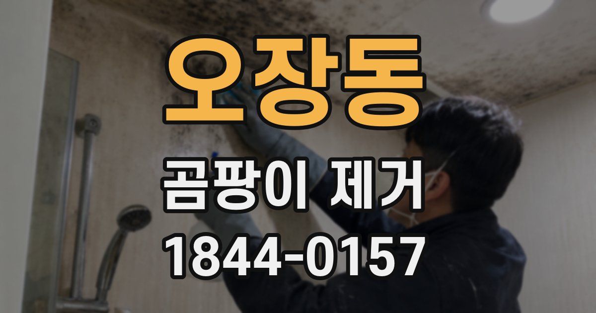오장동 곰팡이 제거