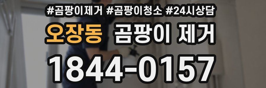오장동 곰팡이 제거